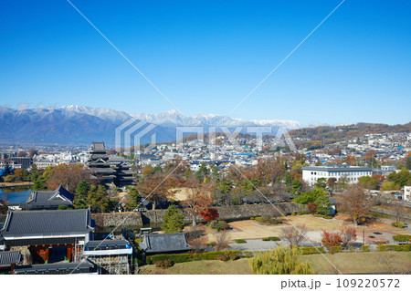 紅葉の松本城と冠雪の北アルプス　松本市役所よりの景観 109220572