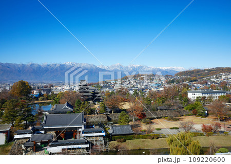 紅葉の松本城と冠雪の北アルプス　松本市役所よりの景観 109220600