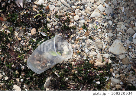 Plastic drinking cup and other trash on sea beach 109220934