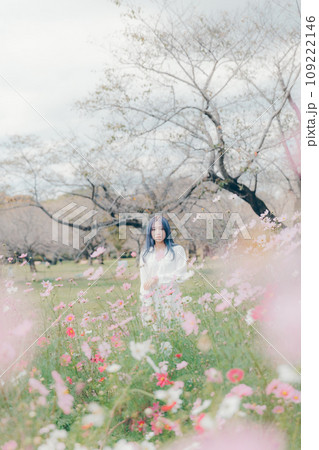 コスモス畑に佇む女性 109222146