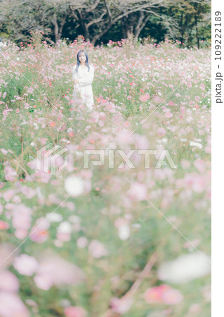 コスモス畑に佇む女性 109222189