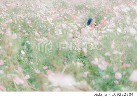コスモス畑に佇む女性 109222204
