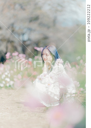 コスモス畑に佇む女性 109222212