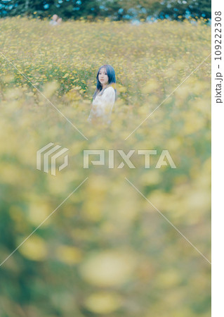 黄色のコスモスに佇む女性 109222308