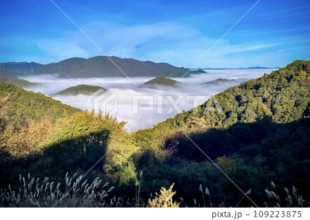 雲海 109223875