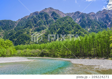 《初夏の上高地・鮮やかな新緑》カラマツ林と六百山 《初夏の上高地・鮮やかな新緑》カラマツ林と六百山 109224271
