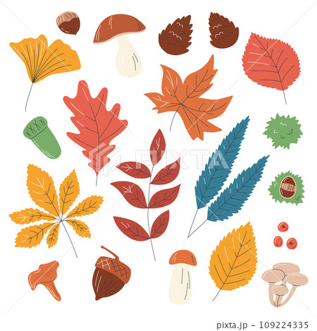 Fall colorful dried leaves silhouette set isolated 109224335
