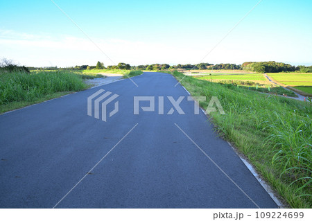 サイクリングロードからの風景　初秋の頃　荒川土手からの眺め　 109224699