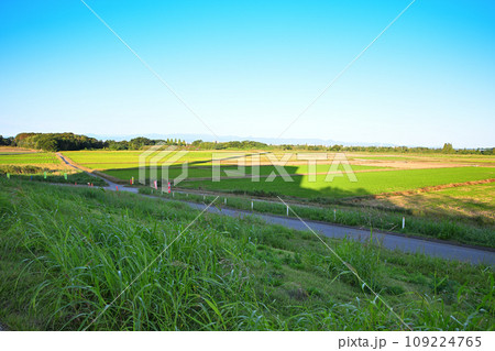 サイクリングロードからの風景　初秋の頃　荒川土手からの眺め　 109224765