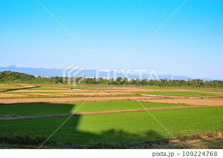 サイクリングロードからの風景　初秋の頃　荒川土手からの眺め　 109224768