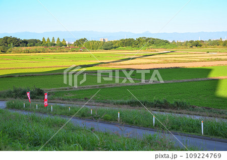 サイクリングロードからの風景 初秋の頃 荒川土手からの眺め サイクリングロードからの風景 初秋の頃 荒川土手からの眺め 109224769