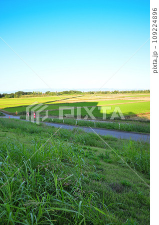サイクリングロードからの風景 初秋の頃 荒川土手からの眺め サイクリングロードからの風景 初秋の頃 荒川土手からの眺め 109224896