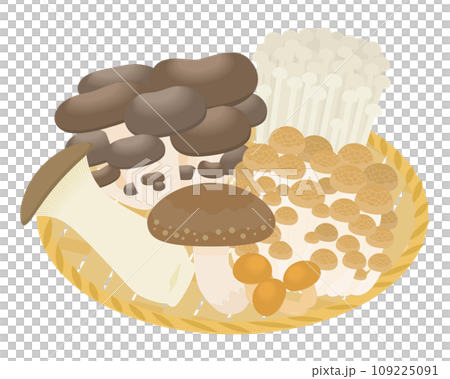 きのこの籠盛りのイラスト 109225091