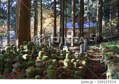 岡山県勝田郡奈義町にある浄土宗の寺「菩提寺」：墓地から本堂を見る 109225514