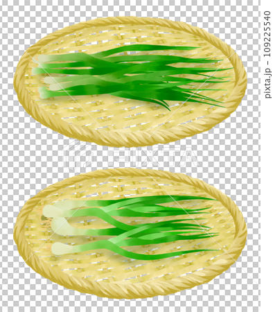 ザルにのった万能ネギとわけぎのイラストセット ザルにのった万能ネギとわけぎのイラストセット 109225540