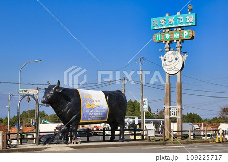 道の駅すえよし（鹿児島県） 109225717