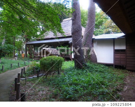 芦花公園 109225804