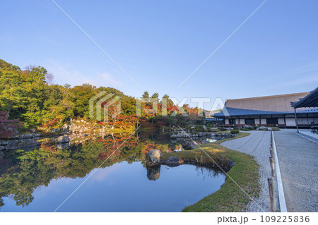 京都　天龍寺　早朝の曹源池庭園の紅葉　 109225836
