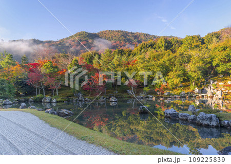 京都 天龍寺 早朝の曹源池庭園の紅葉  京都 天龍寺 早朝の曹源池庭園の紅葉  109225839