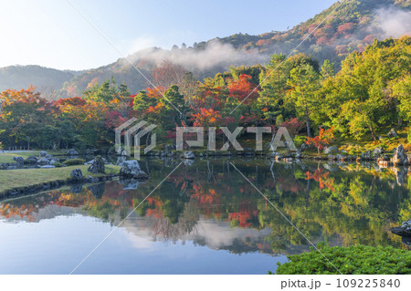 京都 天龍寺 早朝の曹源池庭園の紅葉 京都 天龍寺 早朝の曹源池庭園の紅葉 109225840