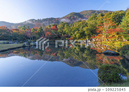 京都　天龍寺　早朝の曹源池庭園の紅葉　 109225845