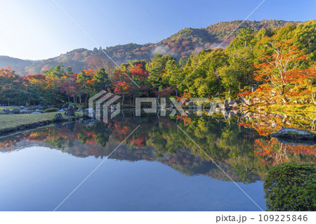 京都 天龍寺 早朝の曹源池庭園の紅葉 京都 天龍寺 早朝の曹源池庭園の紅葉 109225846