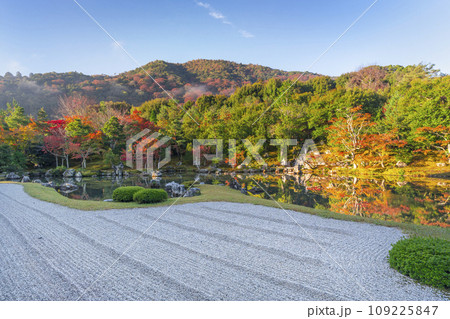京都 天龍寺 早朝の曹源池庭園の紅葉 京都 天龍寺 早朝の曹源池庭園の紅葉 109225847