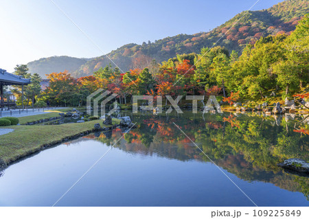 京都 天龍寺 早朝の曹源池庭園の紅葉 京都 天龍寺 早朝の曹源池庭園の紅葉 109225849