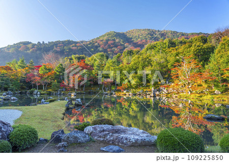 京都　天龍寺　早朝の曹源池庭園の紅葉　 109225850