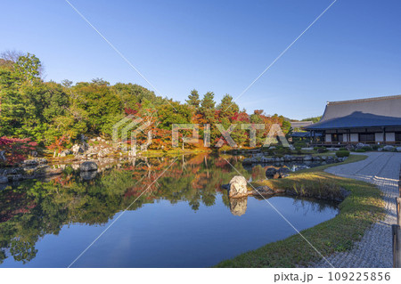 京都　天龍寺　早朝の曹源池庭園の紅葉　 109225856