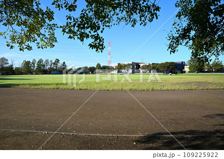 多目的広場　平成の森公園　川島町　 109225922
