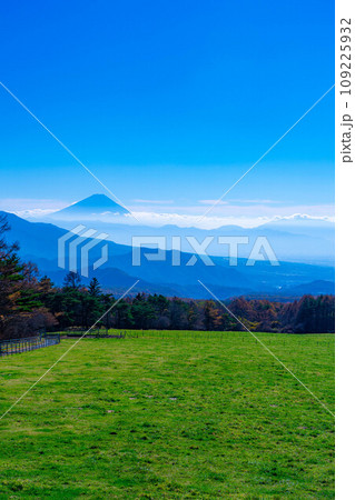 【富士山素材】山梨県立まきば公園から見た富士山と青空【山梨県】 【富士山素材】山梨県立まきば公園から見た富士山と青空【山梨県】 109225932