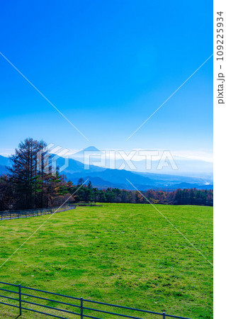 【富士山素材】山梨県立まきば公園から見た富士山と青空【山梨県】 【富士山素材】山梨県立まきば公園から見た富士山と青空【山梨県】 109225934