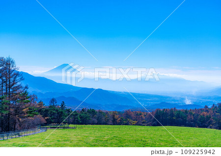 【富士山素材】山梨県立まきば公園から見た富士山と青空【山梨県】 【富士山素材】山梨県立まきば公園から見た富士山と青空【山梨県】 109225942