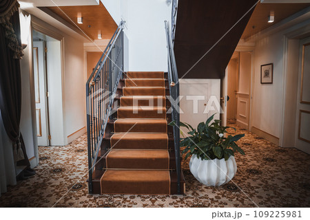 A rustic wooden stairway with a potted plant, adding a touch of greenery. No decorations on the surrounding walls. Part of a collection of Venice photos. 109225981