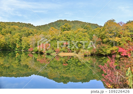 雨飾高原鎌池の初秋の景色 雨飾高原鎌池の初秋の景色 109226426