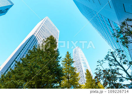 新宿副都心 中央通り 銀杏並木と高層ビル群 2023.11　f-3 ライトトーン 109226714