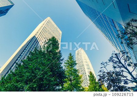 新宿副都心 中央通り 銀杏並木と高層ビル群 2023.11 f-4 暖色寒色強調 新宿副都心 中央通り 銀杏並木と高層ビル群 2023.11 f-4 暖色寒色強調 109226715