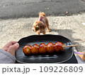 みたらし団子と犬 109226809