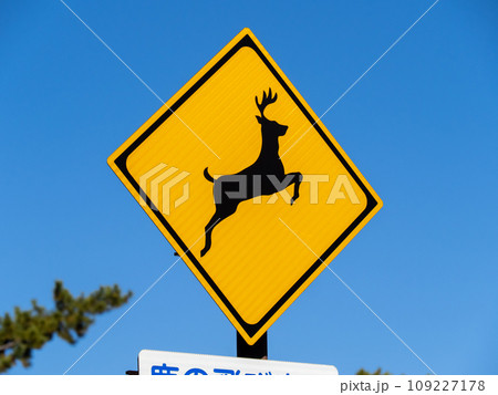 道路標識(警戒標識)「動物が飛び出すおそれあり」。 109227178