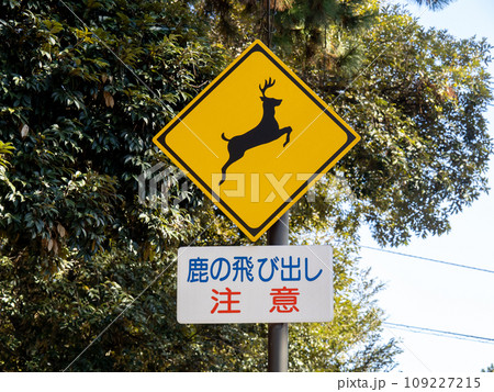 道路標識。本標識(警戒標識)「動物が飛び出すおそれあり」と、「鹿の飛び出し注意」と書かれた補助標識。 109227215