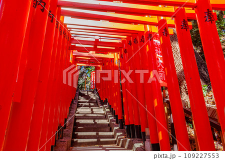 【東京の都市風景】日枝神社周辺の都市風景 【東京の都市風景】日枝神社周辺の都市風景 109227553