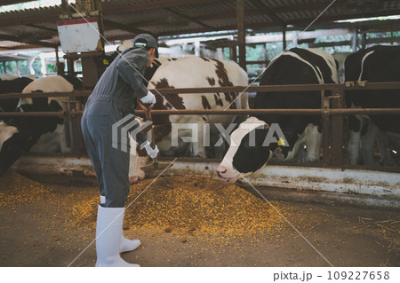 ranch ranch 109227658