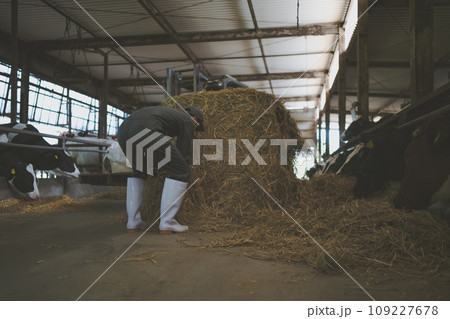 ranch 109227678