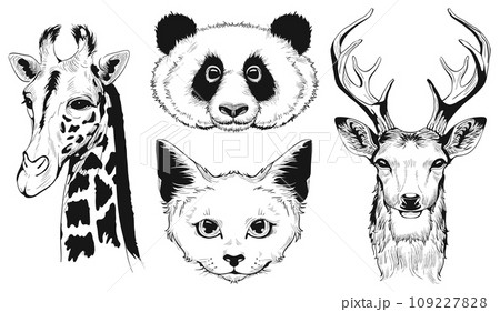 Set head animal vector sketch drawing isolated on white background 109227828