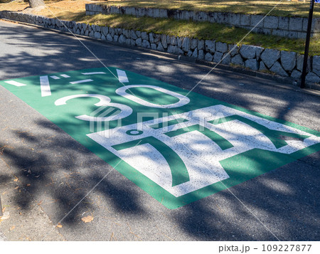 「ゾーン30プラス」の路面標示。 109227877