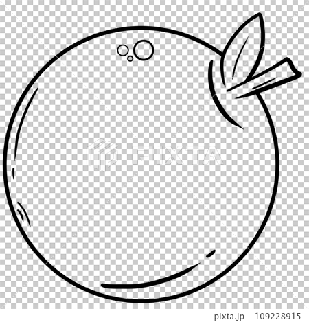black line art of orange on a transparent background, coloring book art supply for kids black line art of orange on a transparent background, coloring book art supply for kids 109228915