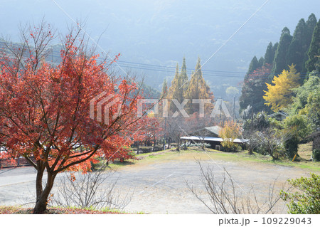 冠岳花川砂防公園の紅葉 冠岳花川砂防公園の紅葉 109229043