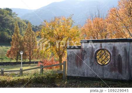 冠岳花川砂防公園の紅葉 冠岳花川砂防公園の紅葉 109229045