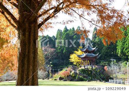 冠岳花川砂防公園の紅葉 冠岳花川砂防公園の紅葉 109229049